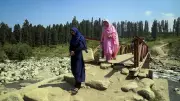 Srinagar Sizzles at 35.3°C: Among Hottest June Days in Decades