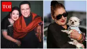 Sunita Ahuja Jokes About Leaving Property to Pet Chihuahua, Talks Nephew Krushna Abhishek