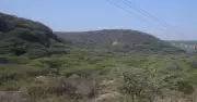 Supreme Court's Aravali Panel Raises Independence Concerns