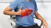 Swollen Liver vs Bloating: How Doctors Tell the Difference
