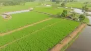 Tamil Nadu Minister Orders Land Guideline Values by June End