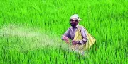 Telangana Farmers Invest Rs 30,000 Crore in Borewells, Paddy Dominates 83% of Cropped Land