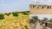 Thar Desert's Green Revolution: Success or Environmental Challenge?