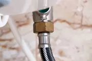 The nut that yielded to soft hands: A sister's ingenuity