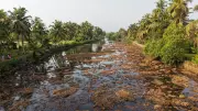 The Slow Death of a River Buried Under Urban Waste