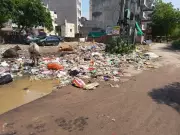 Thiruvananthapuram Corporation to Boost Health Squads to Curb Illegal Waste Dumping