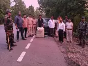 Three from UP arrested with 23 kg ganja in Kandhamal, Odisha