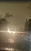 Thunderstorm Sweeps Across Haryana's Hisar After IMD Alert, Uproots Trees