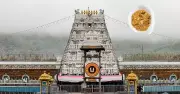 Tirumala Laddu Sales Hit All-Time High in May 2026