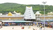 Tirupati Temple Daily Donations: How Each Rupee is Counted and Protected