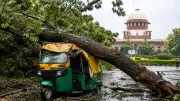 Tree Fall on Auto Not 'Motor Accident' Under MV Act: SC Awards Rs 25 Lakh