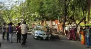 Tree Falls on Car and Bike in Trichy, Two Injured