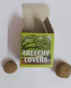 Trichy Groups Prepare 600 Seed Balls for World Environment Day at Holy Cross College