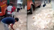 Truck Carrying Chickens Overturns Near Rajiv Chowk in Gurgaon