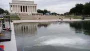 Trump's $14M Lincoln Memorial Pool Turns Green in Algae Fiasco