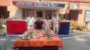Two Arrested with Leopard Skins, Bombs in Odisha's Berhampur