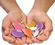Two Brain-Dead Men's Organ Donations Save Multiple Lives in Madurai