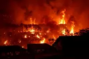 Two Forest Fires Erupt in Dharamshala, Total Reaches 80 in Division