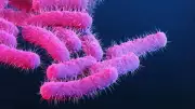 Two More Shigella Deaths in Kerala, Total Reaches Five This Year