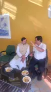 Union Minister Naik Admits Govt Lacked Consultation on Power Penalties