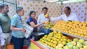 Unlocking the Mango Economy: India's Fruity Treasure Beyond Taste