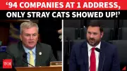 US Congress Hears Explosive Testimony on Ohio Medicaid Fraud Involving Stray Cats