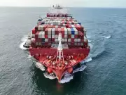 US-Iran Conflict Disrupts Rice Exports from Karnal, India's Rice Bowl