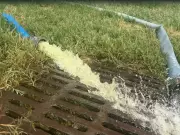 US Park Service Cleans Lincoln Memorial Reflecting Pool After Algae Outbreak