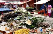 UT Hires NABCON Consultant, Seeks Green Nod for Sector 39 Mandi Shift