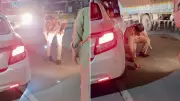 Uttarakhand Cop Asks Driver Not to Move Car, What Was Underneath Leaves Viewers Relieved