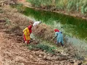 VB-G RAM G Scheme: New MGNREGA Substitute Sparks State Disagreement