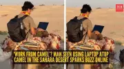 Viral Video: Man Works on Laptop While Riding Camel in Sahara Desert