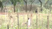 West Bengal Hands Over 32 Acres to BSF for Bangladesh Border Fencing