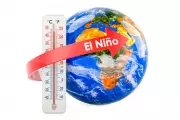 When El Niño Travels: Climate Risks Reshape Development and Livelihoods