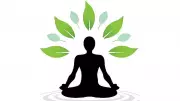 When Silence Becomes Knowledge: The Power of Quiet Reflection