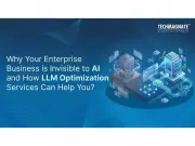 Why Enterprise Brands Are Invisible in AI Search and How LLM Optimization Helps