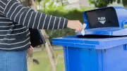 Why Your Compost Bin Smells Bad: 7 Simple Ways to Eliminate Odor from Kitchen Waste