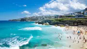 Woman Critical After Shark Attack at Sydney's Coogee Beach