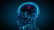 World Brain Tumour Day: Lifestyle Habits That Support Brain Health