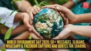 World Environment Day 2025: Powerful Messages, Slogans, and Quotes to Inspire Change