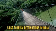 World Environment Day 2026: 5 Eco-Tourism Destinations in India Balancing Conservation and Travel