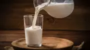World Milk Day 2026: 8 Must-Have Milk Dishes for Summer