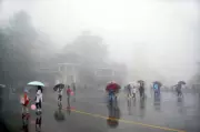 Yellow Alert Issued for 5 Himachal Districts as Rain Continues