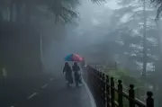 Yellow Alert Issued for All 12 Districts in Himachal as Heavy Rain Continues