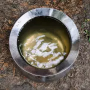 Yellow Discolored Water Sparks Health Fears in Madurai's Sellur Area
