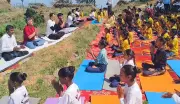 Yoga Fosters Physical, Mental, Spiritual Health: Himachal Minister