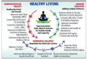Yoga's Scientific Benefits for Heart, Immunity, Hormones, and Longevity