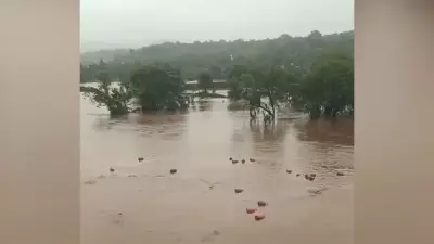 3,000 LPG Cylinders Float in Patalganga River After Raigad Rains