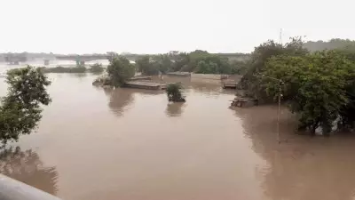 7-Year-Old Drowns as Heavy Rains Inundate Delhi; Showers Likely to Continue