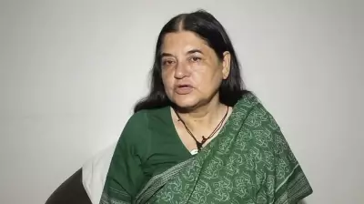 Activists Support Maneka Gandhi on Peacock Feather Ban, Urge Humane Alternatives